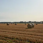 K 357 - Budget In Bei Luebeck *
