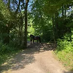 K 357 - Budget In Bei Luebeck * Ratekau