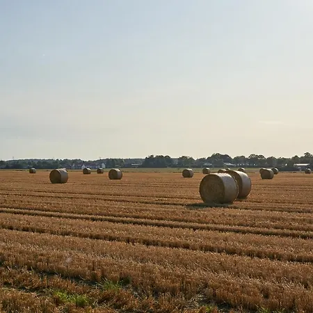 K 357 - Budget In Bei Luebeck *