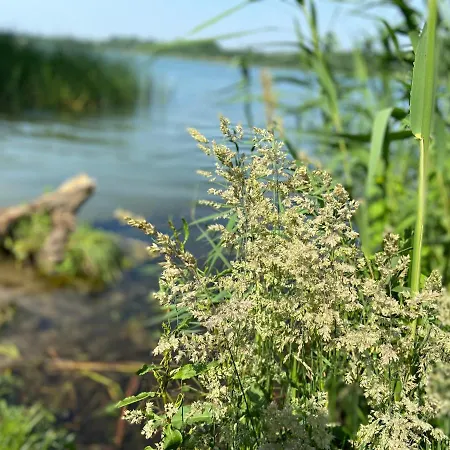 K 357 - Budget In Bei Luebeck