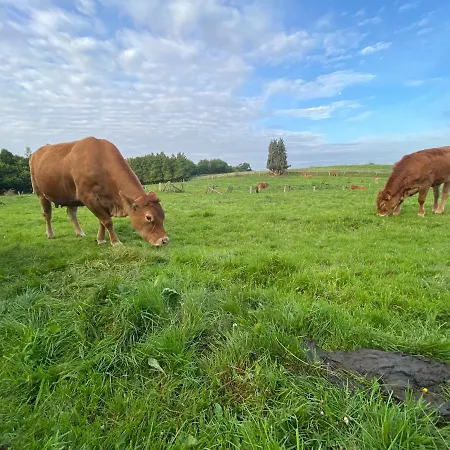 K 357 - Budget In Bei Luebeck