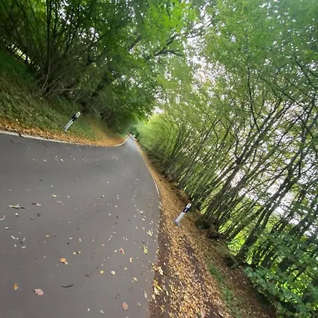 K 357 - Budget In Bei Luebeck Aparthotel Ratekau