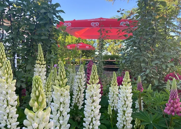 K 357 - Budget In Bei Luebeck