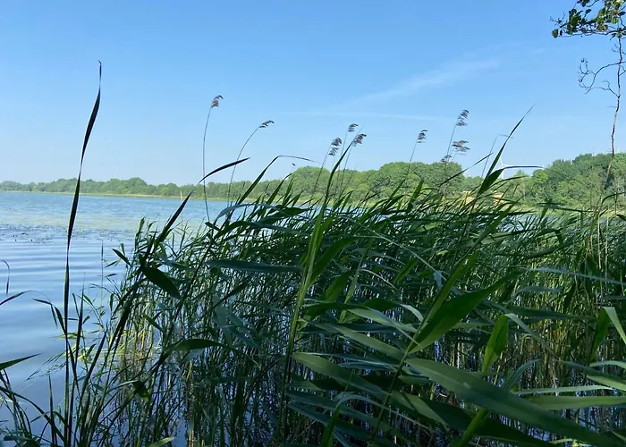 K 357 - Budget In Bei Luebeck Ratekau