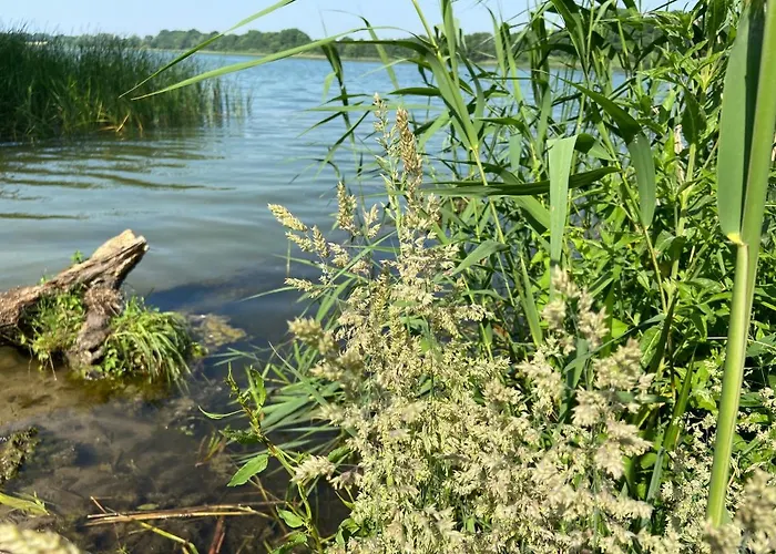 Aparthotel K 357 - Budget In Bei Luebeck