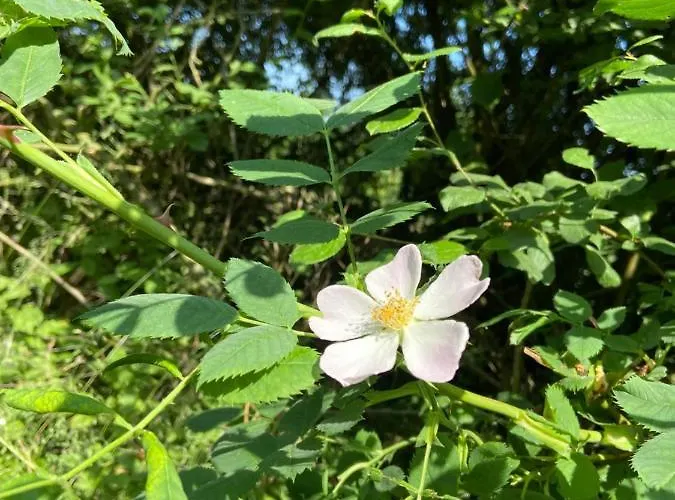 K 357 - Budget In Bei Luebeck Ratekau