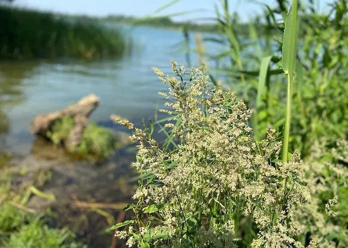 K 357 - Budget In Bei Luebeck