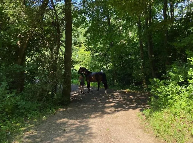 K 357 - Budget In Bei Luebeck * Ratekau