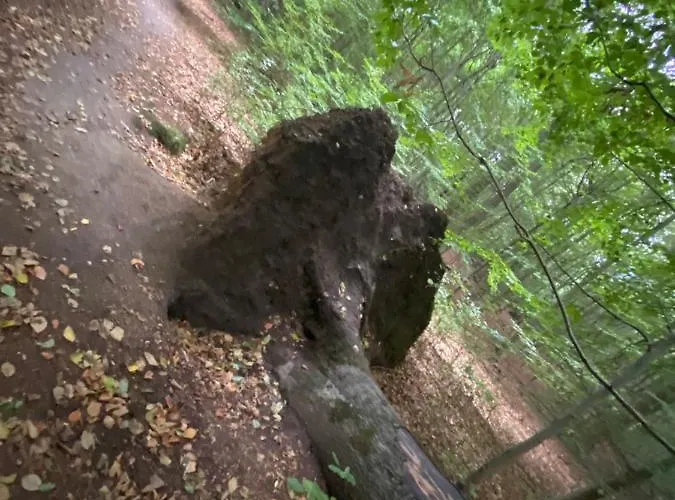 K 357 - Budget In Bei Luebeck Aparthotel