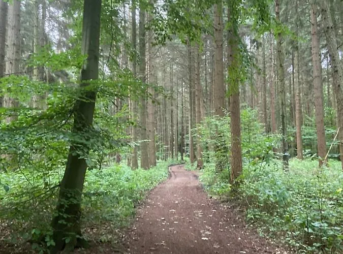 Aparthotel K 357 - Budget In Bei Luebeck Ratekau