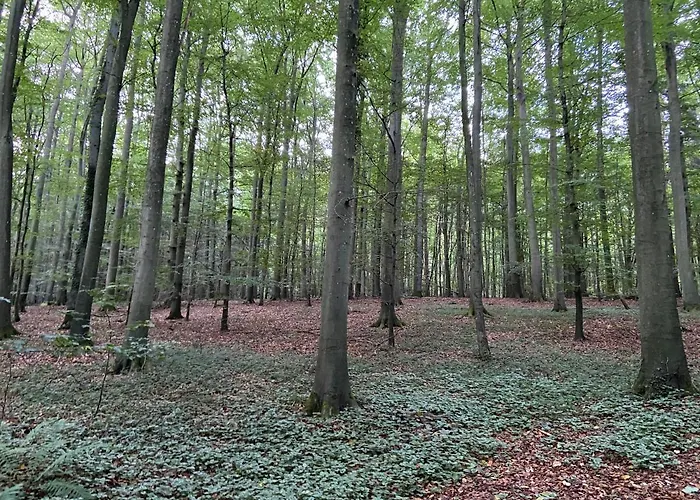 K 357 - Budget In Bei Luebeck *