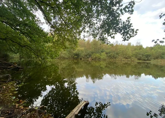 Aparthotel K 357 - Budget In Bei Luebeck