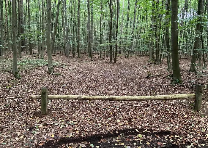 Apartmanhotel K 357 - Budget In Bei Luebeck