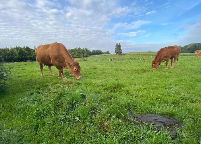 K 357 - Budget In Bei Luebeck