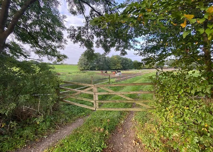 K 357 - Budget In Bei Luebeck Ratekau